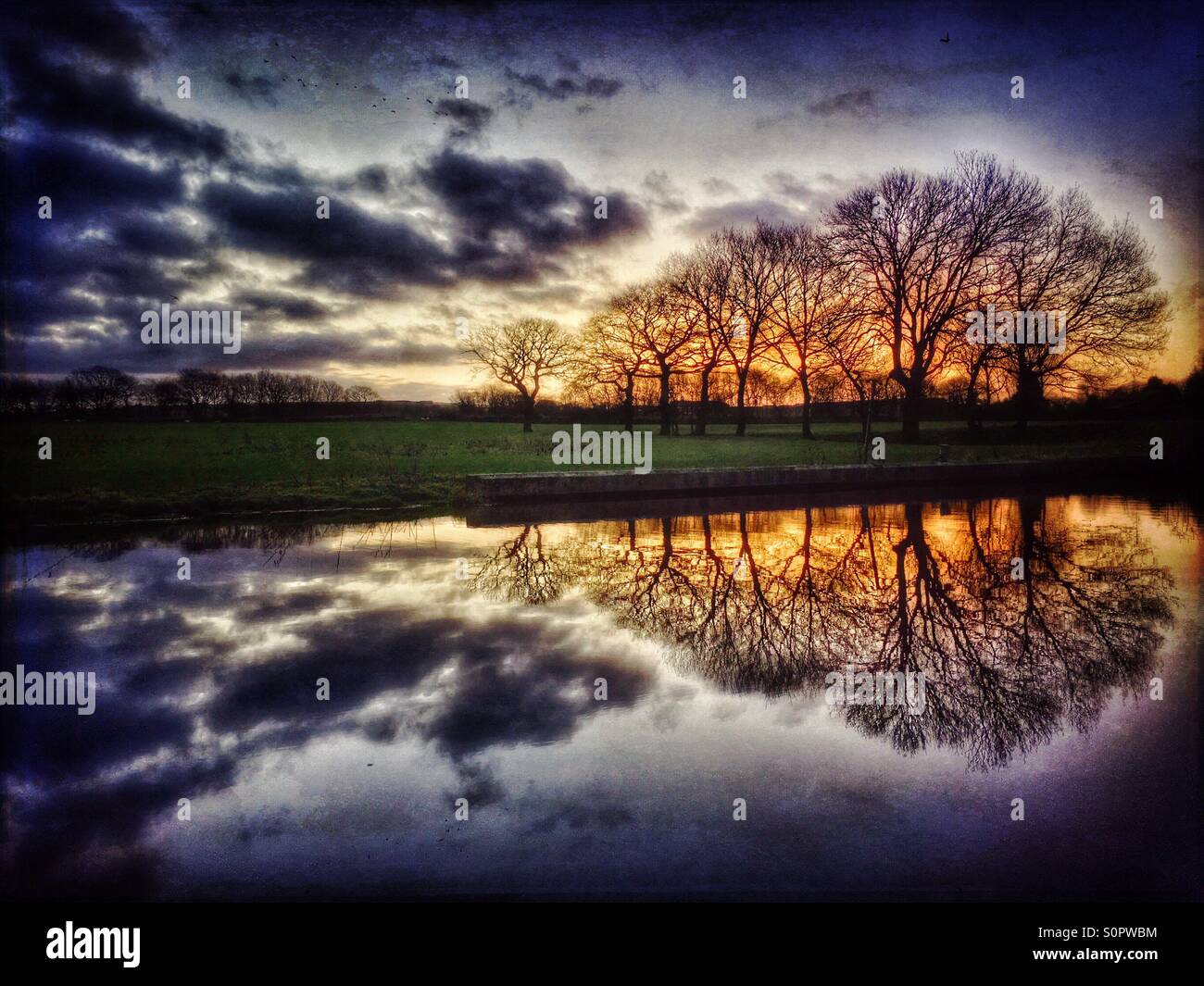 Trees reflected in canal at sunrise Stock Photo - Alamy