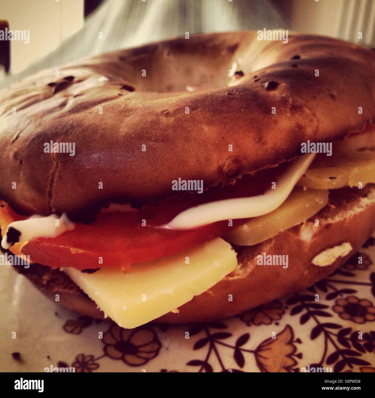 Well-toasted bagel with cheese & tomato Stock Photo