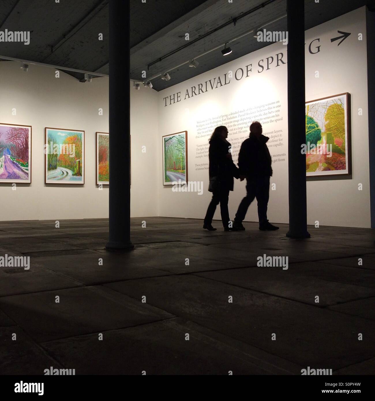 A couple viewing David Hockney's The Arrival of Spring exhibition in Salts Mill Saltaire Bradford - Smartphone Captured Stock Image
