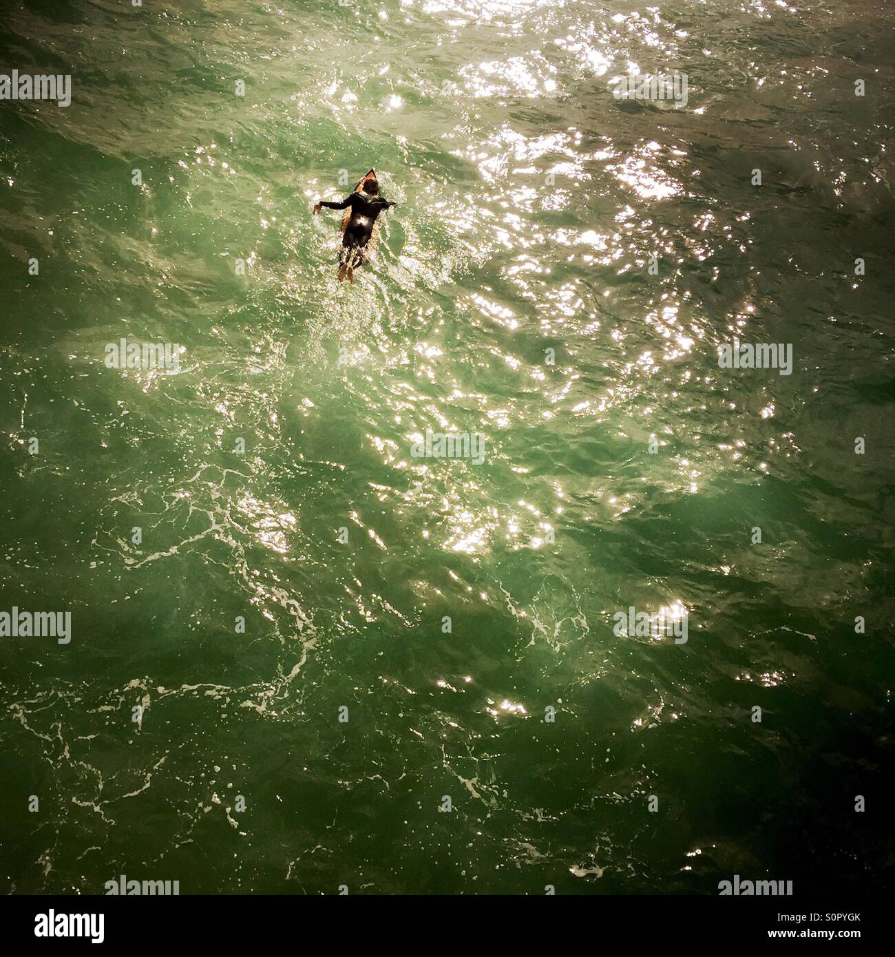 A surfer paddles out to the surf alone. Manhattan Beach, California USA. - Smartphone Captured Stock Image