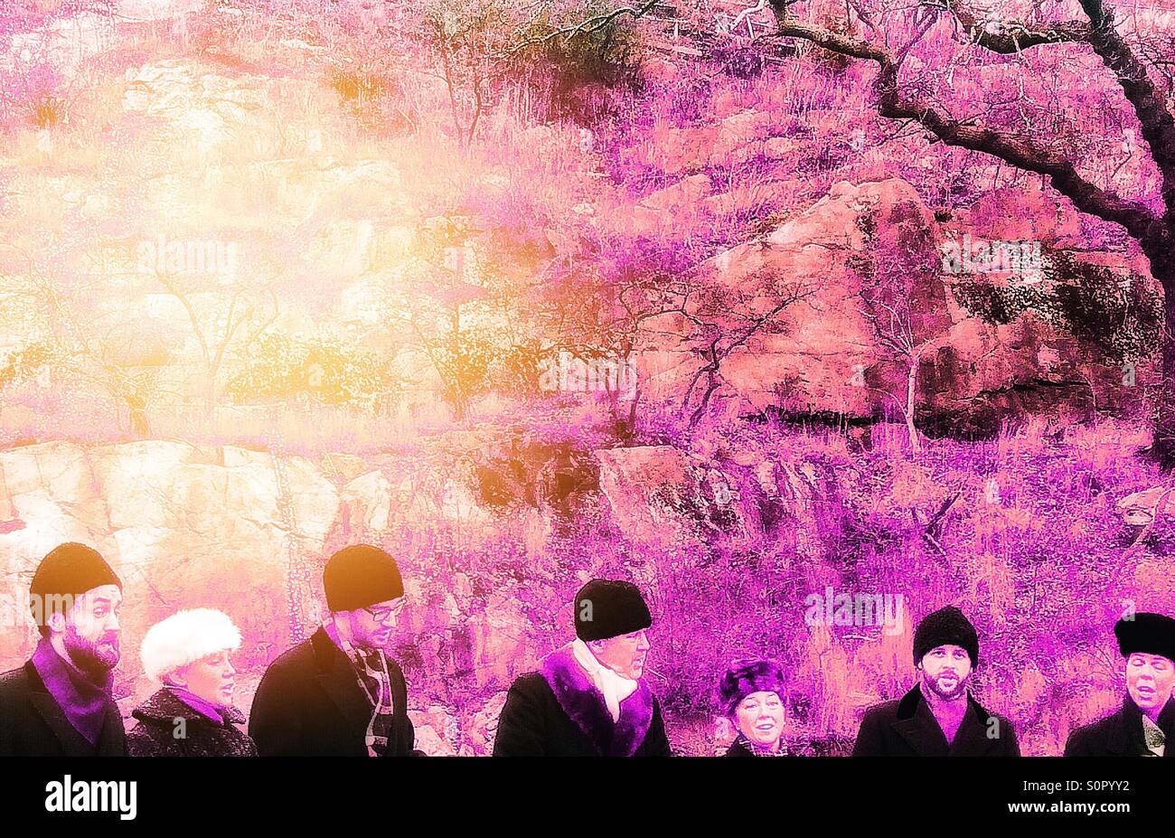 Pink nature winter hats - Smartphone Captured Stock Image