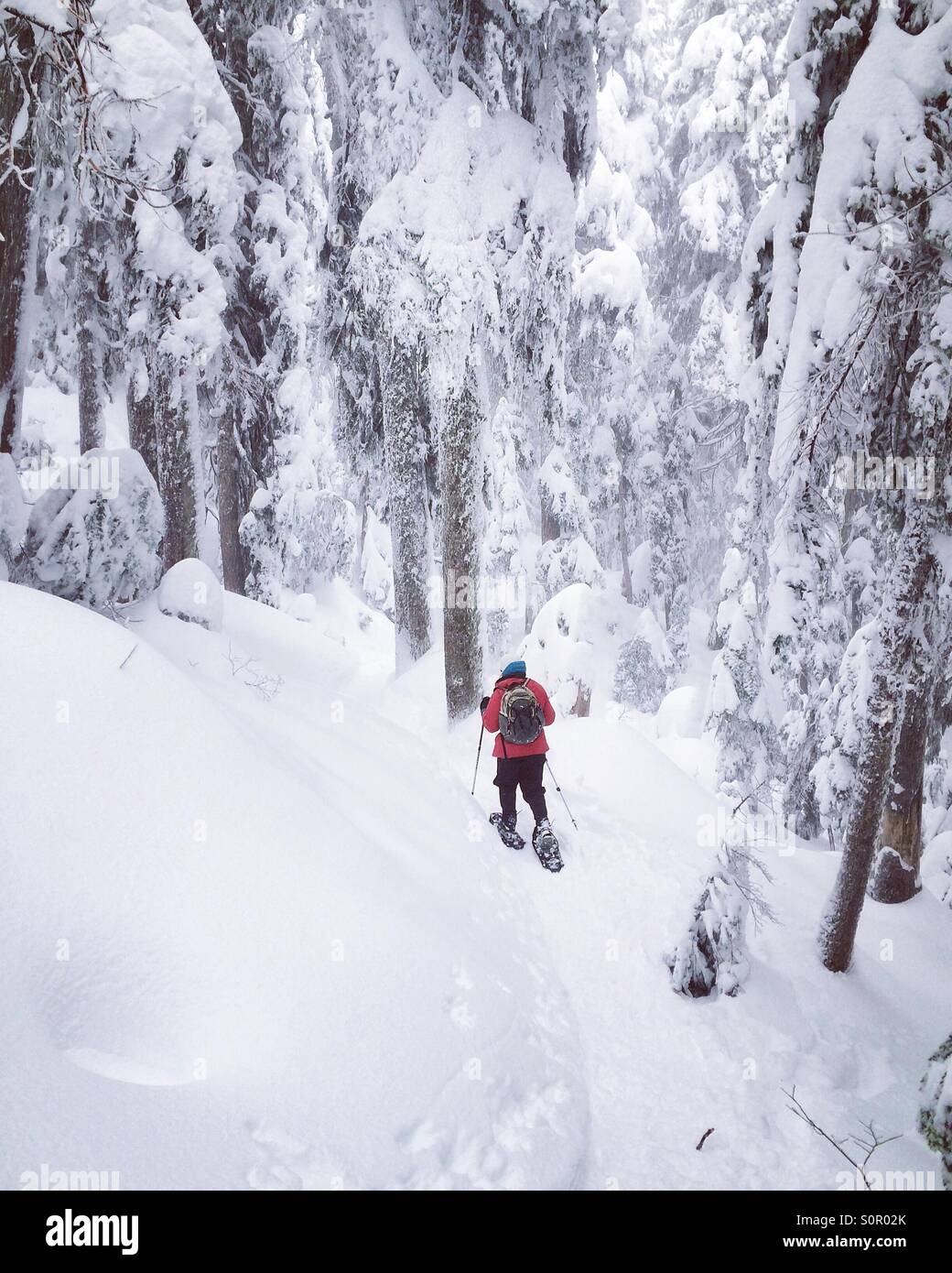 Snowshoeing in Mount Seymour Provincial Park, Vancouver, British Columbia, Canada Stock Photo