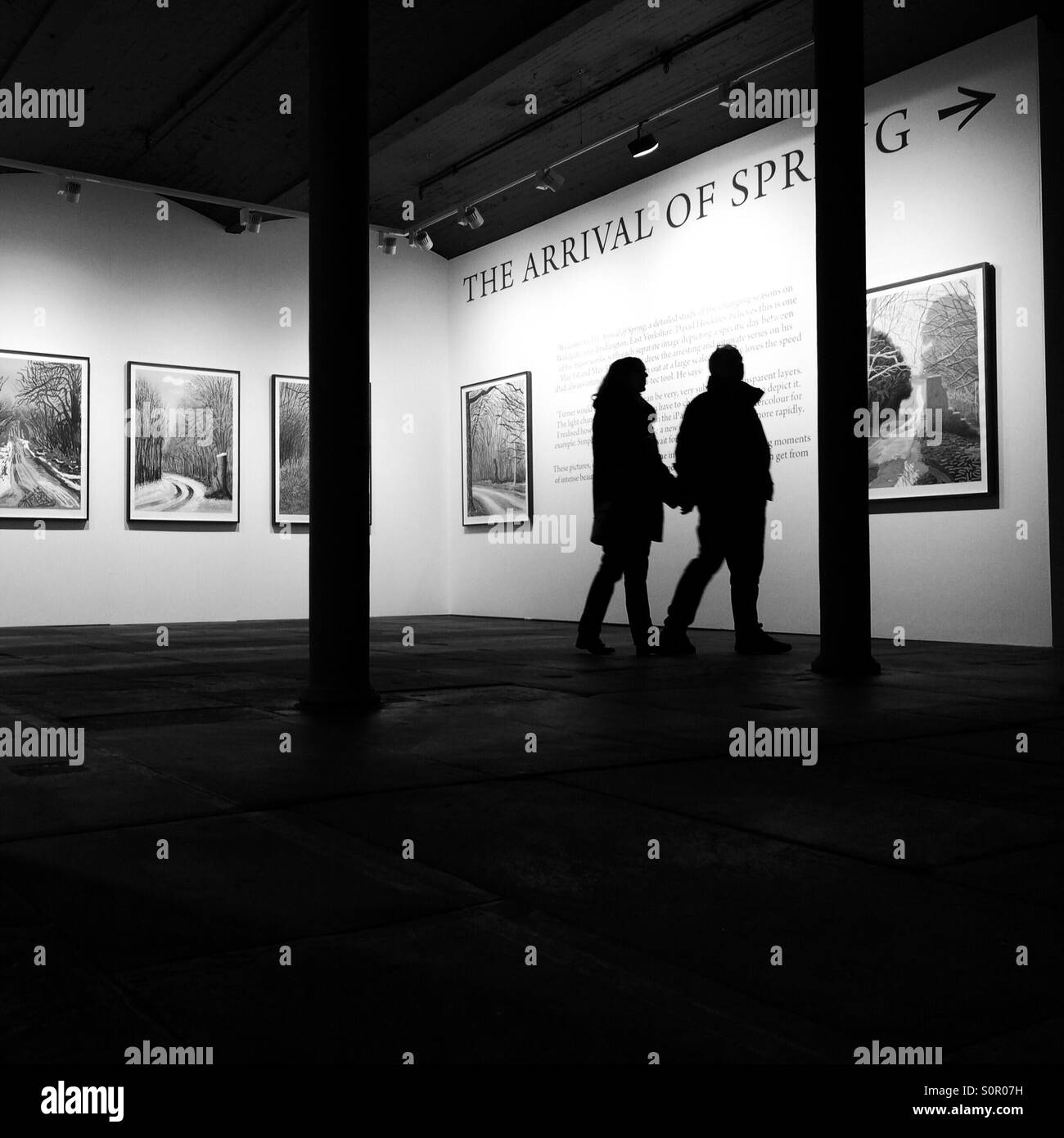 A couple viewing David Hockney's The Arrival of Spring exhibition in Salts Mill Saltaire Bradford Stock Photo