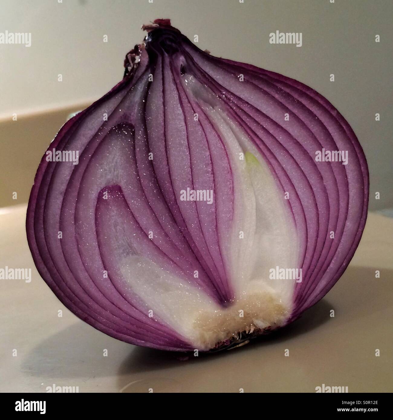 Red Onion Stock Photo