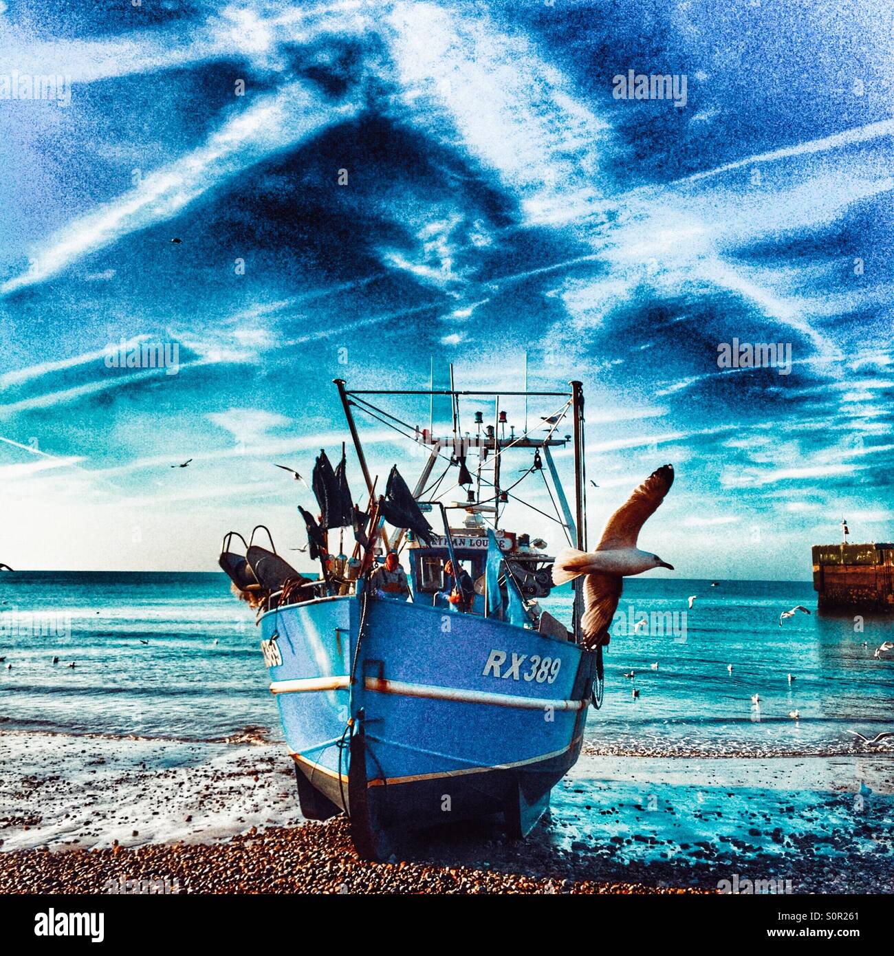 Seagull and fishing boat, Hastings, East Sussex, UK - Smartphone Captured Stock Image