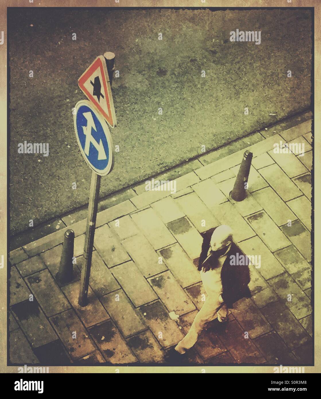 Man walking past road signs - Smartphone Captured Stock Image