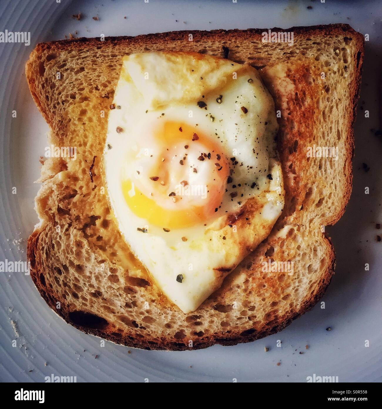 Fried egg on toast - Smartphone Captured Stock Image