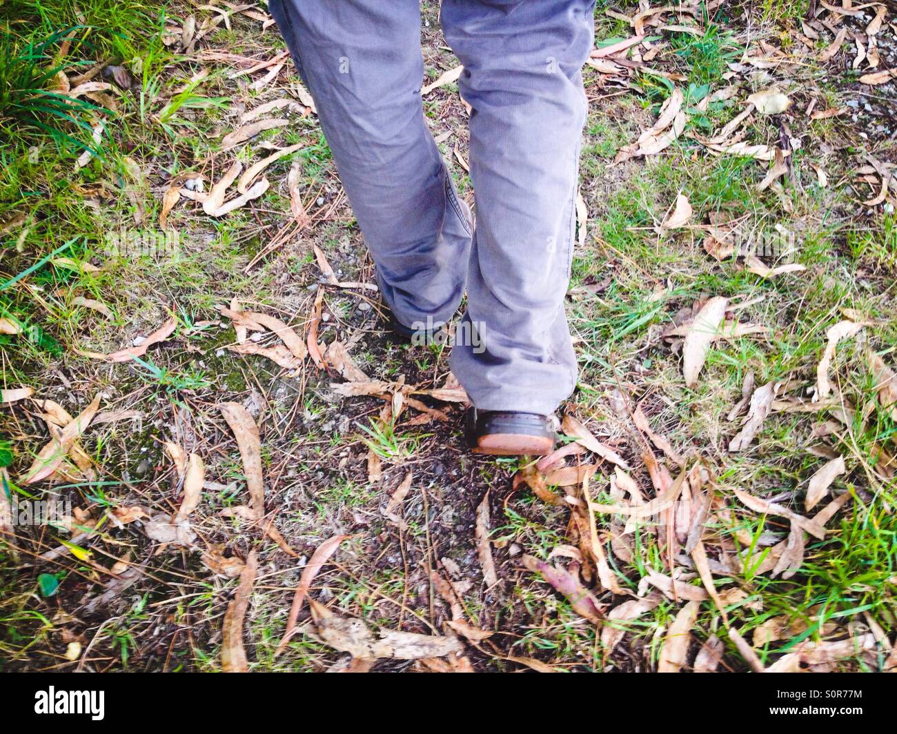 Man walking by the forest - Smartphone Captured Stock Image