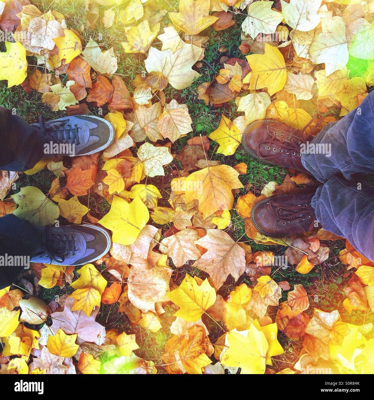 Two people standing in colorful autumn leaves Stock Photo
