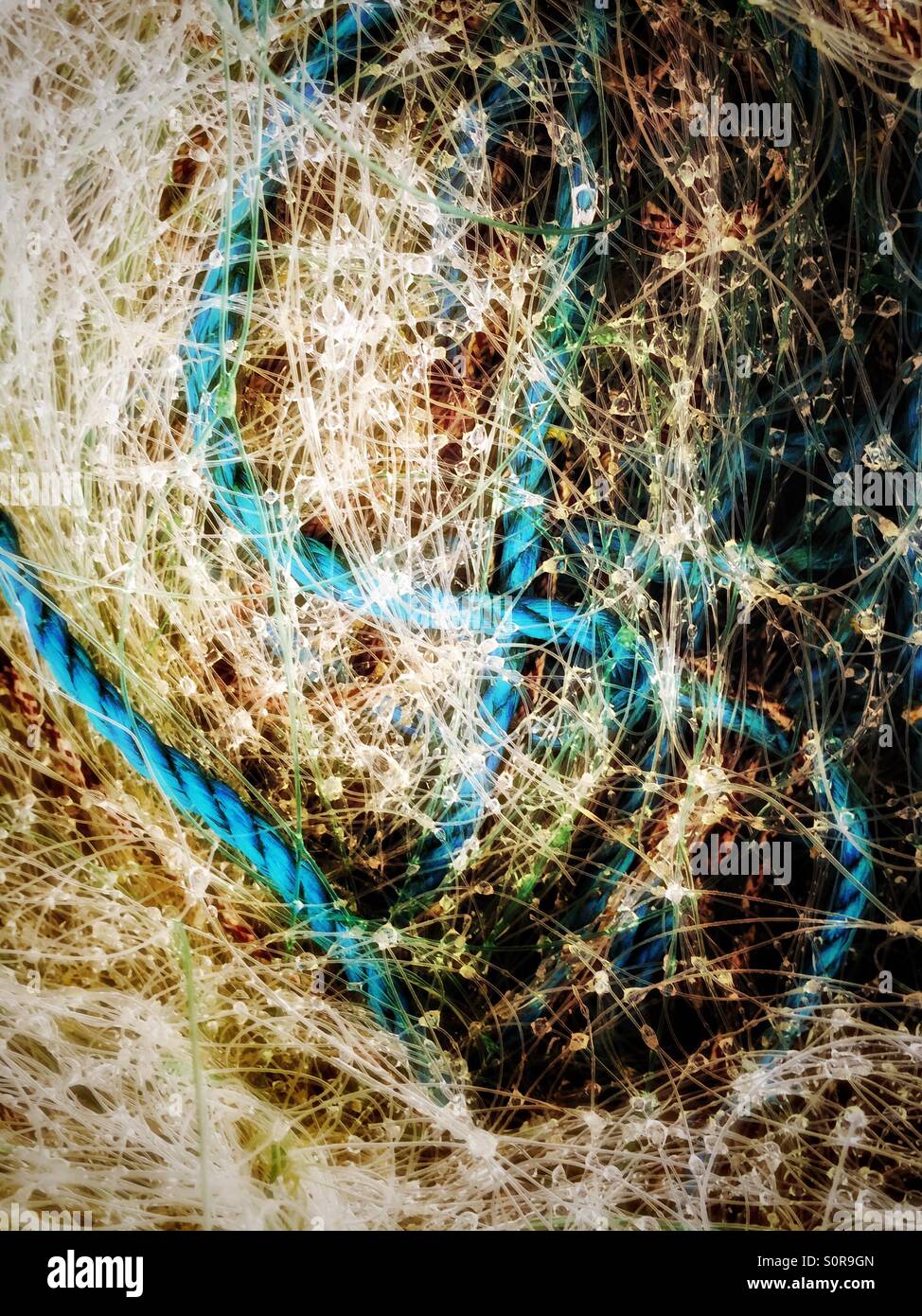 Fishing nets and rope - Smartphone Captured Stock Image