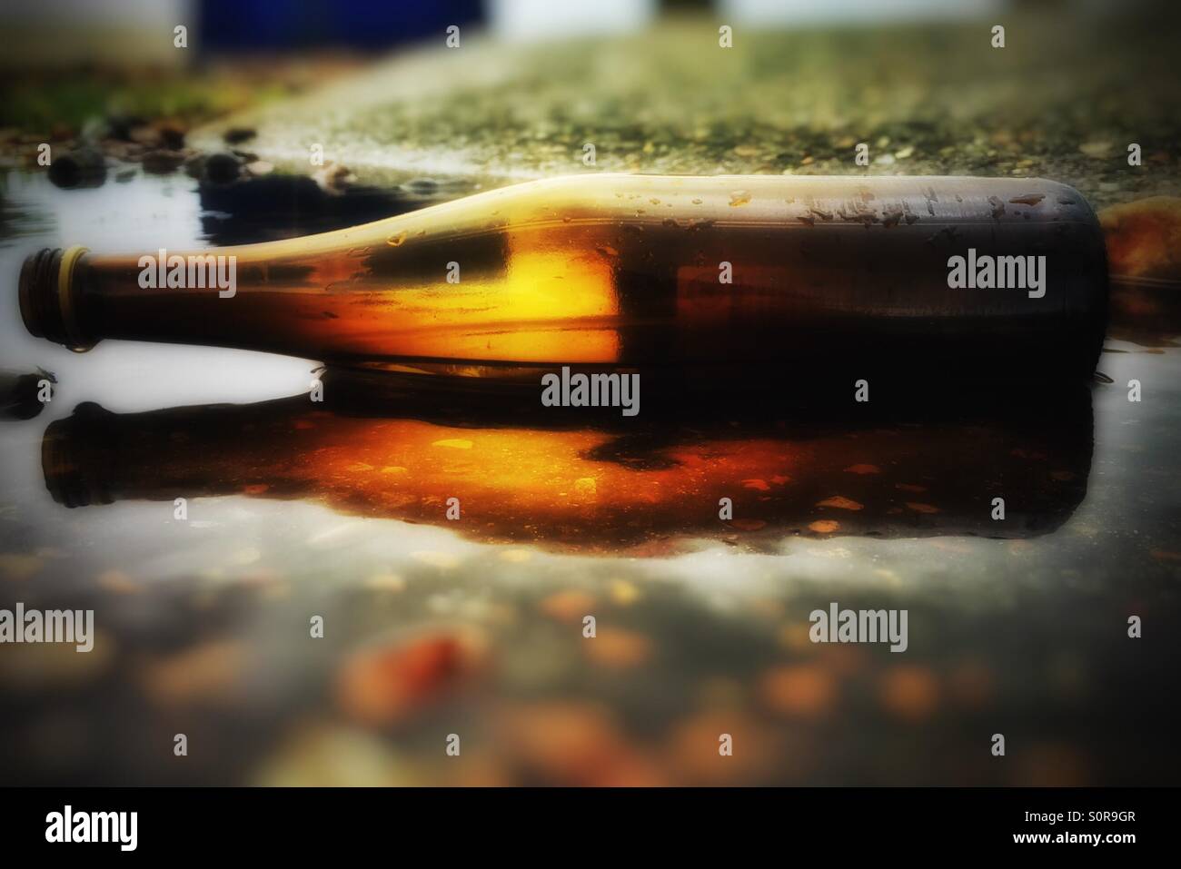 A wine bottle laying in a puddle in the street - Smartphone Captured Stock Image