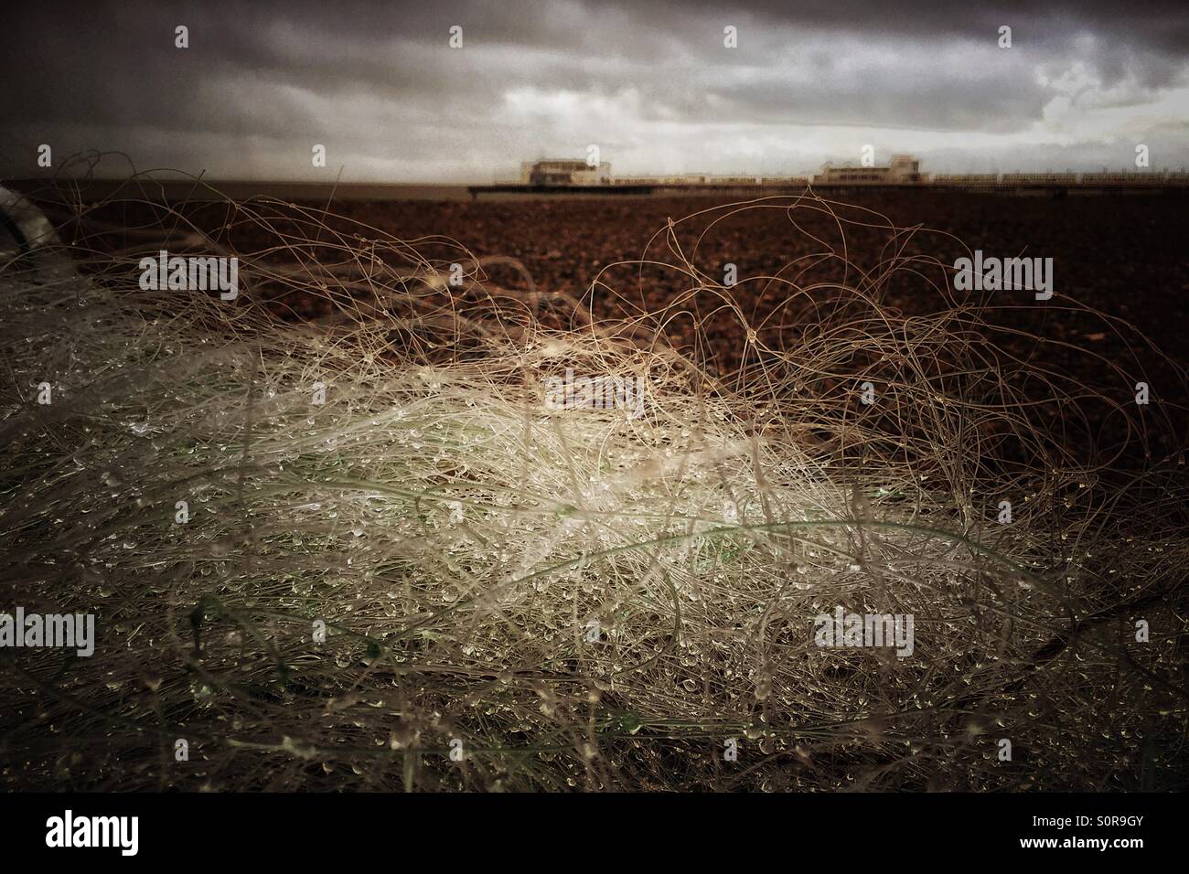 Discarded or lost fishing nets wrapped caught on a groyne, polluting  Worthing beach - Smartphone Captured Stock Image