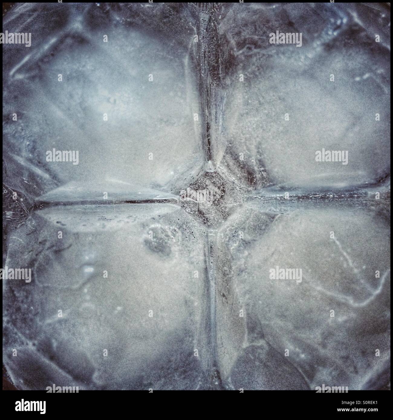 Four ice cubes stuck together Stock Photo Alamy