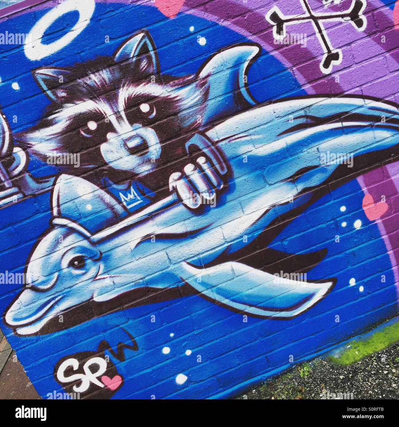 Dolphin and raccoon wall art in the street Stock Photo