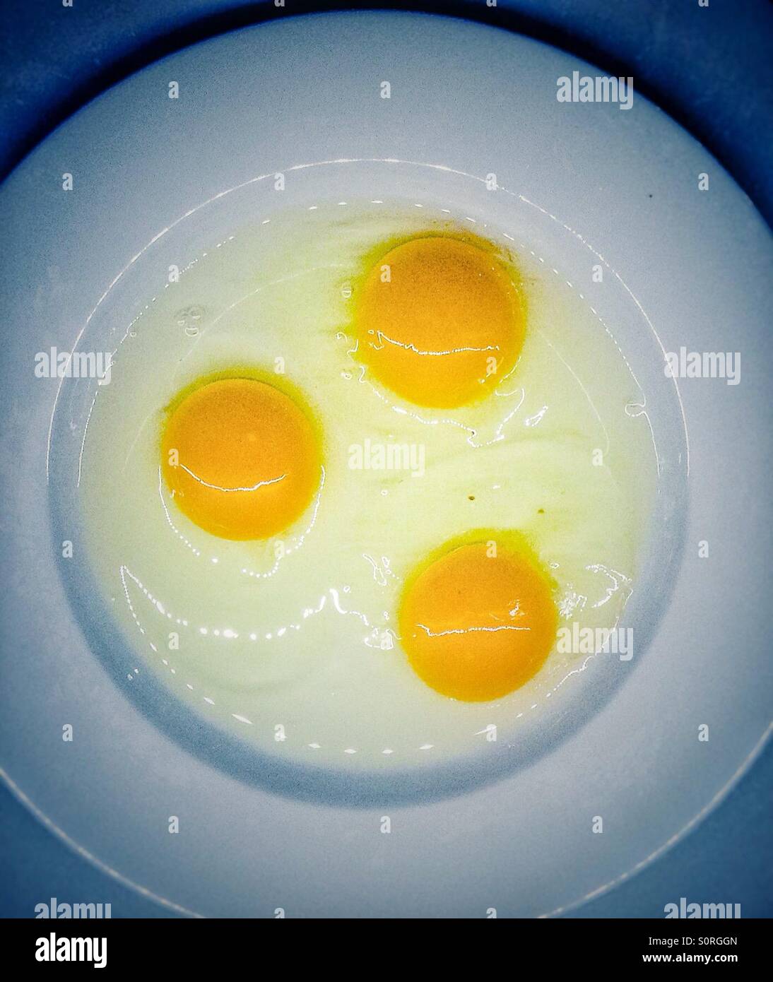 Three raw egg yolks in a white dish Stock Photo