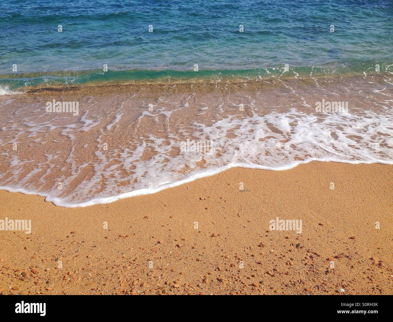 Tropical beach - Smartphone Captured Stock Image