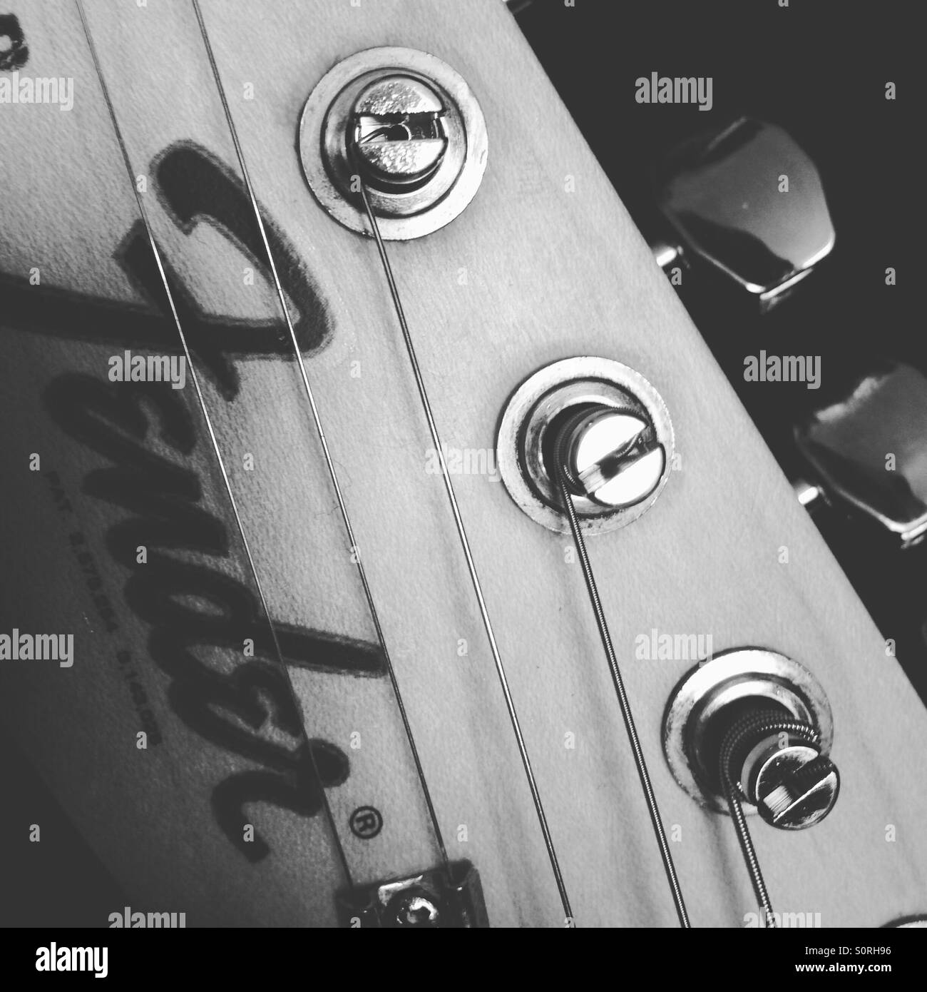 Fender guitar head - Smartphone Captured Stock Image