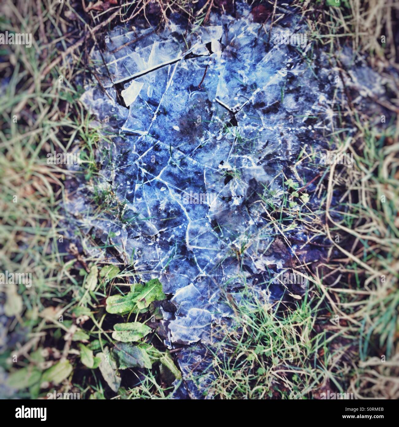 Frozen puddle filled with cracked ice - Smartphone Captured Stock Image