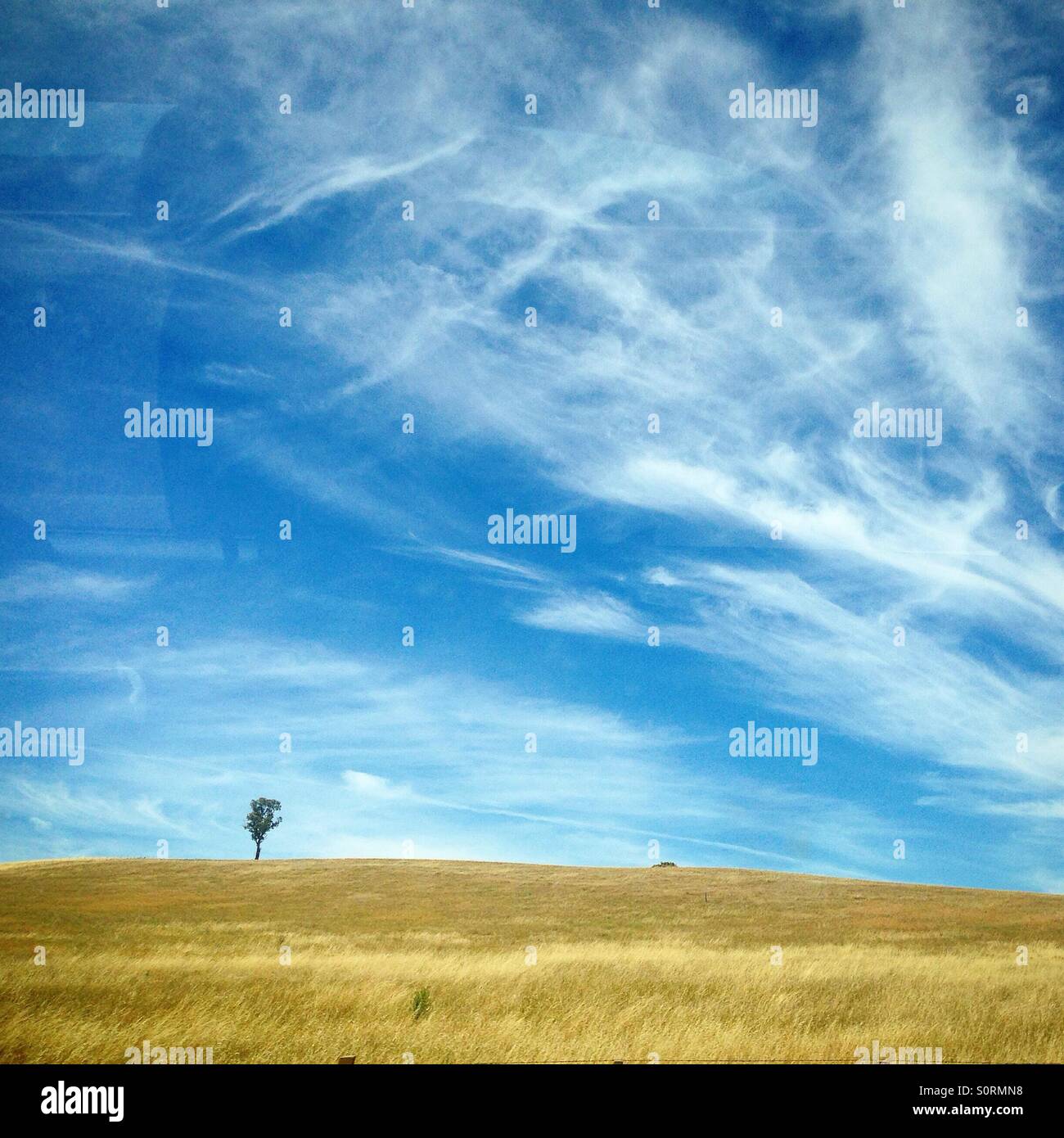 Sky with tree hi-res stock photography and images - Alamy
