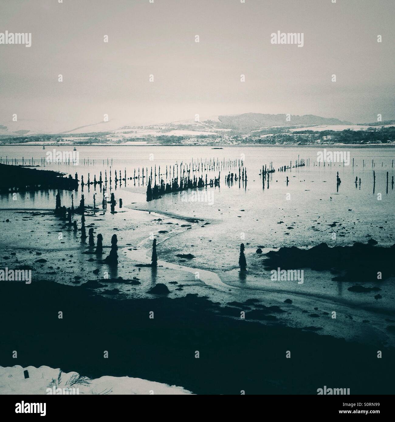 Timber ponds on a snowy day. Stock Photo