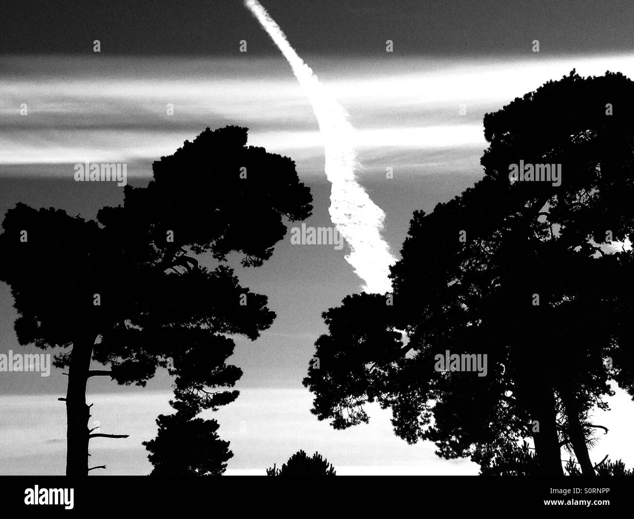 Vapour trails from commercial airliners over Rendlesham forest Suffolk UK. Stock Photo
