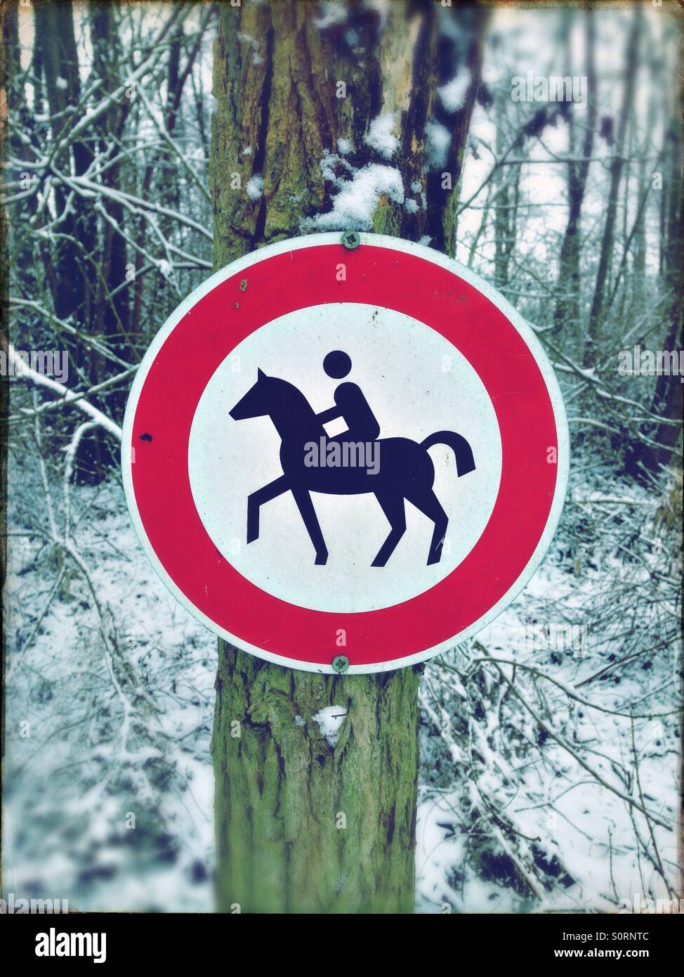 No horseback riding sign in a snowy winter forest Stock Photo