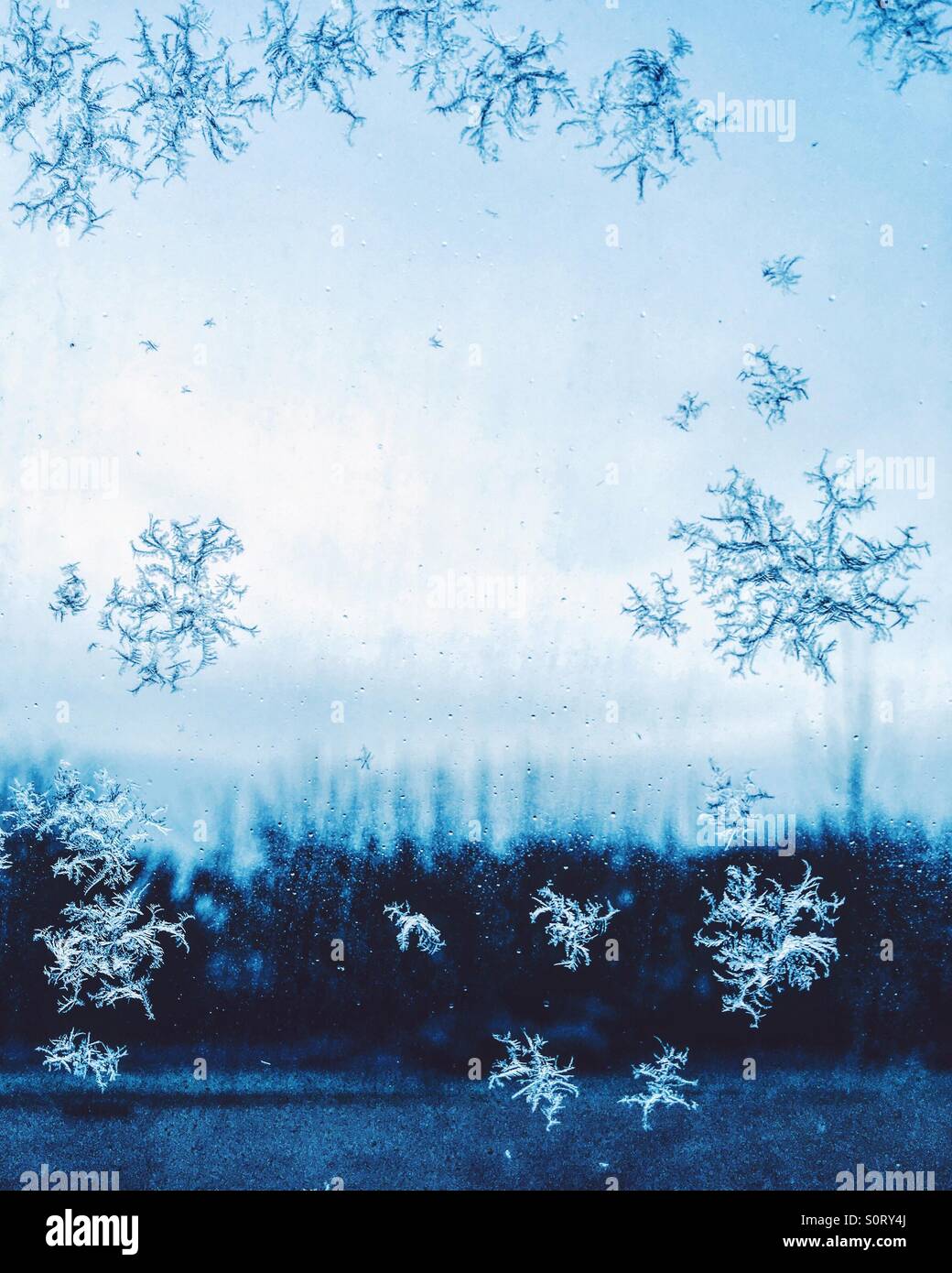 Frozen snowflakes Stock Photo