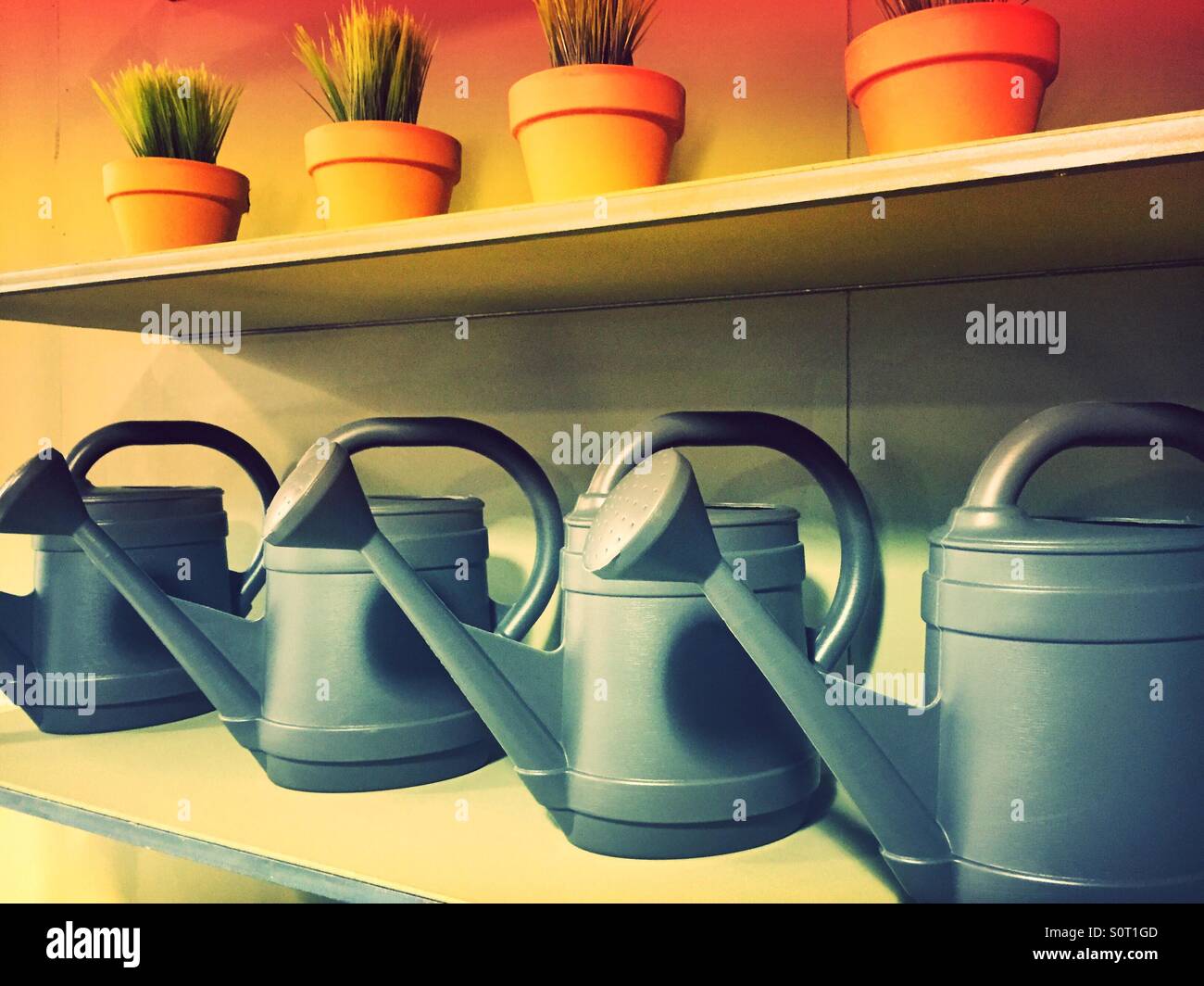Shelves of plastic watering cans and potted plants - Smartphone Captured Stock Image
