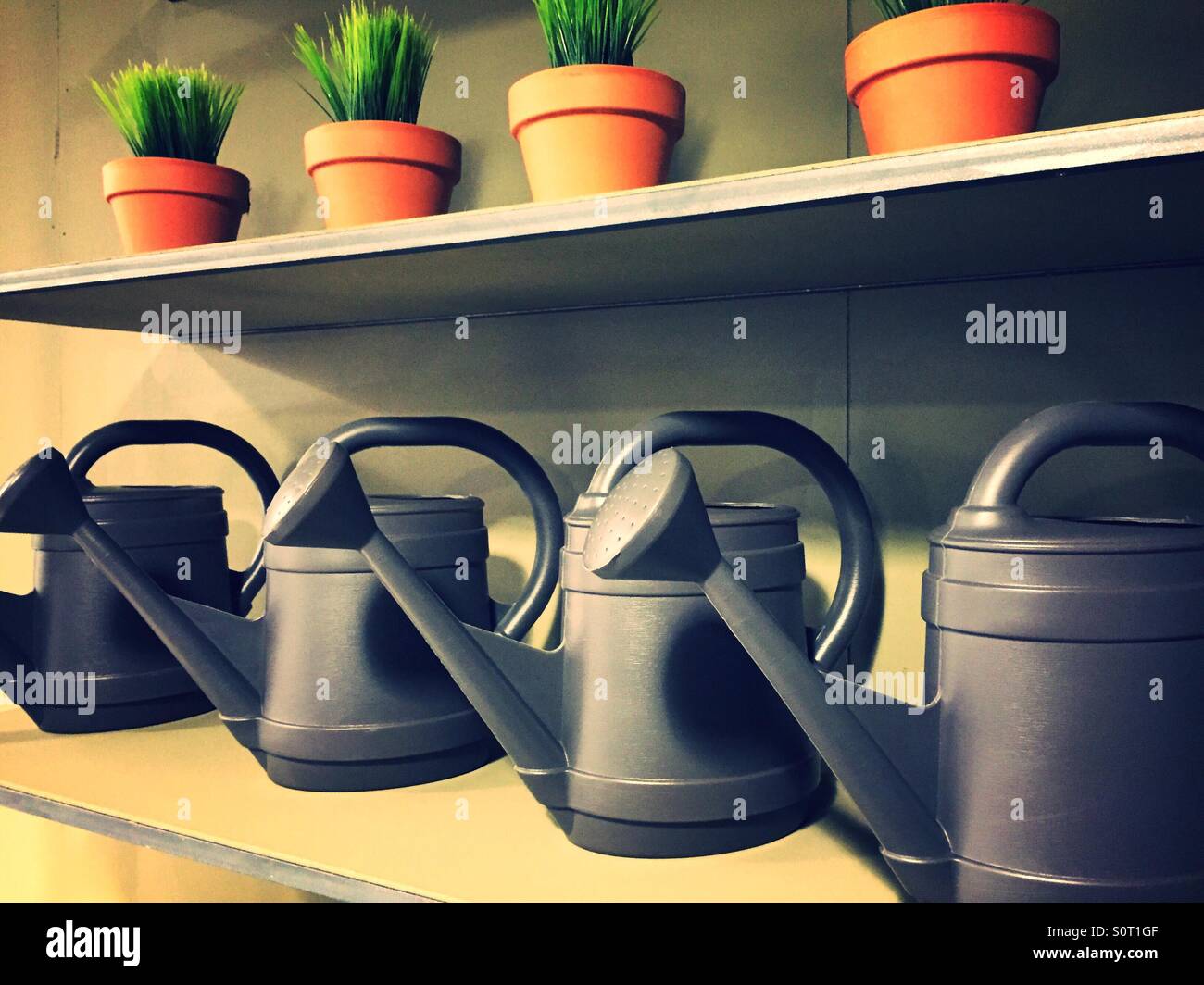 Shelves of plastic watering cans and potted plants - Smartphone Captured Stock Image