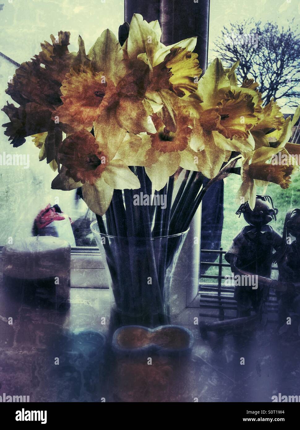 Vase of daffodils on s kitchen window sill. - Smartphone Captured Stock Image Vase of daffodils on s kitchen window sill. - Smartphone Captured Stock Image