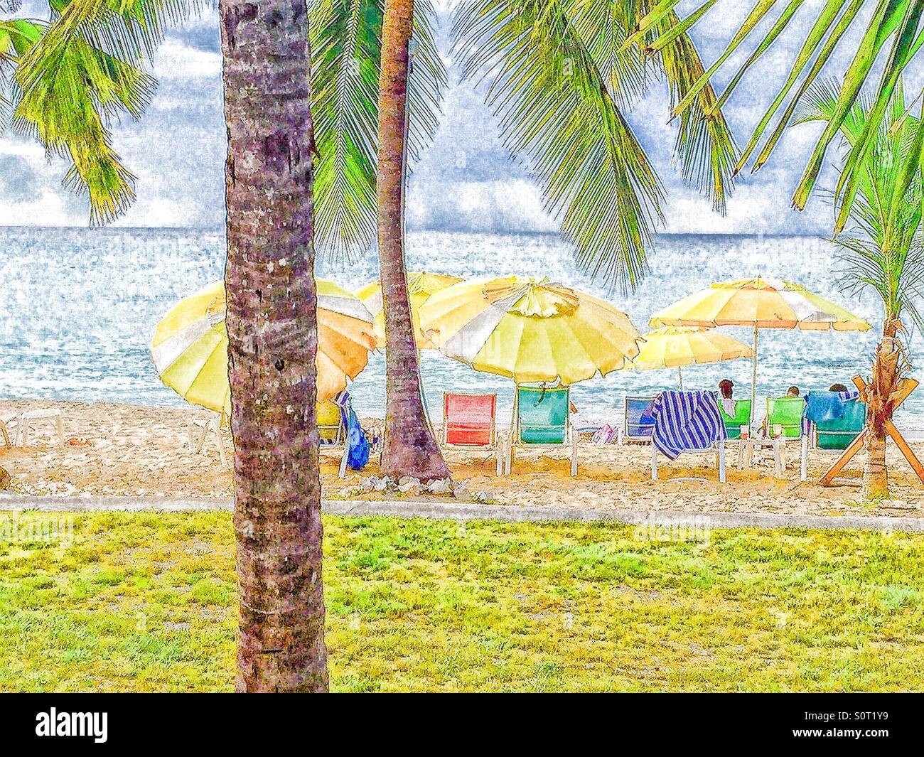 Tropical beach - Smartphone Captured Stock Image