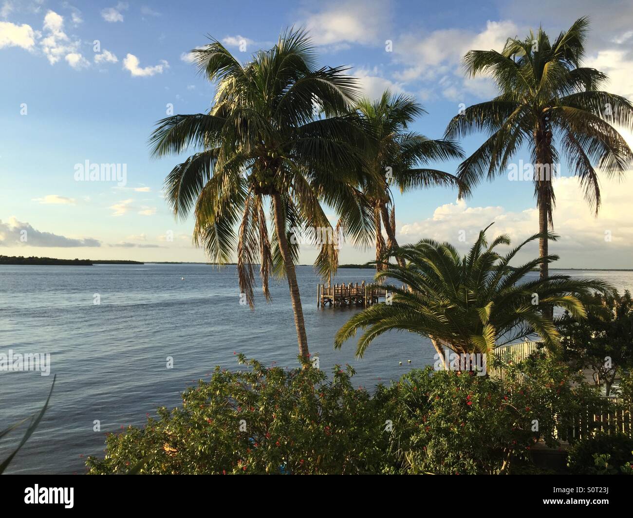 Calloosahatchie hires stock photography and images Alamy