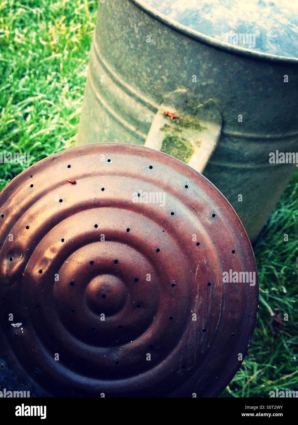 Vintage watering can - Smartphone Captured Stock Image