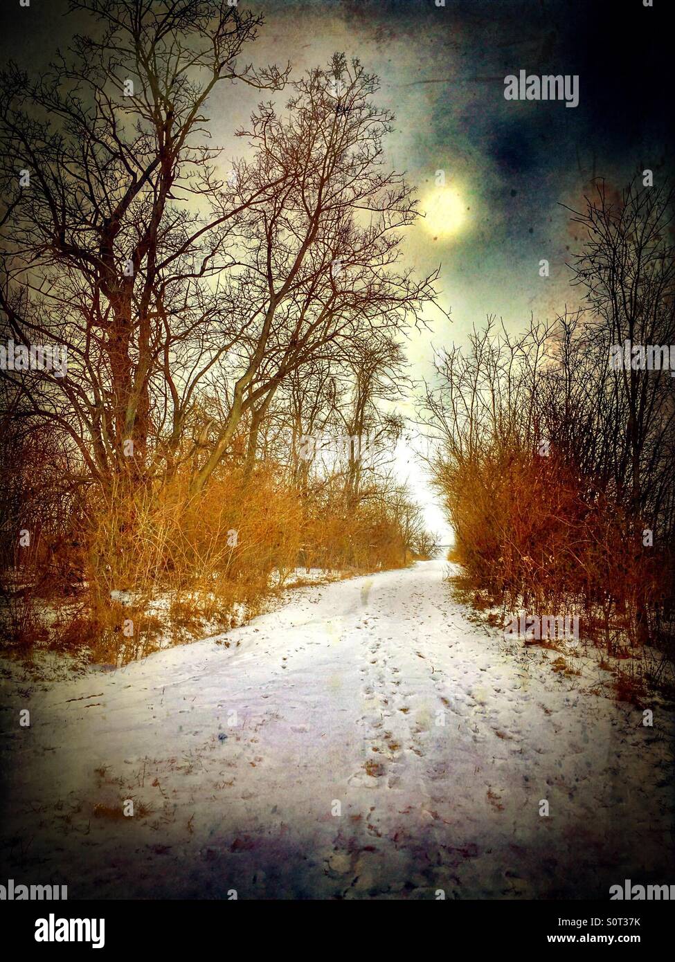 A snowy uphill climb under a cloud covered sun. - Smartphone Captured Stock Image