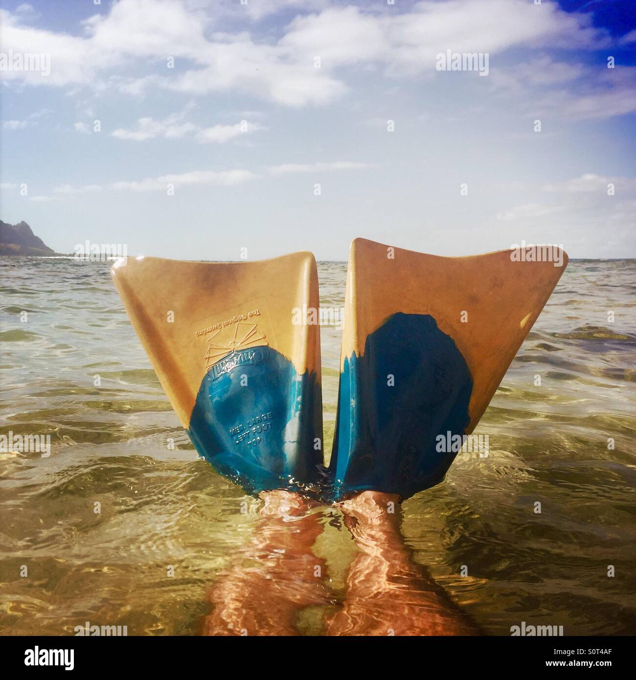 Swim fins sticking out water hi-res stock photography and images - Alamy