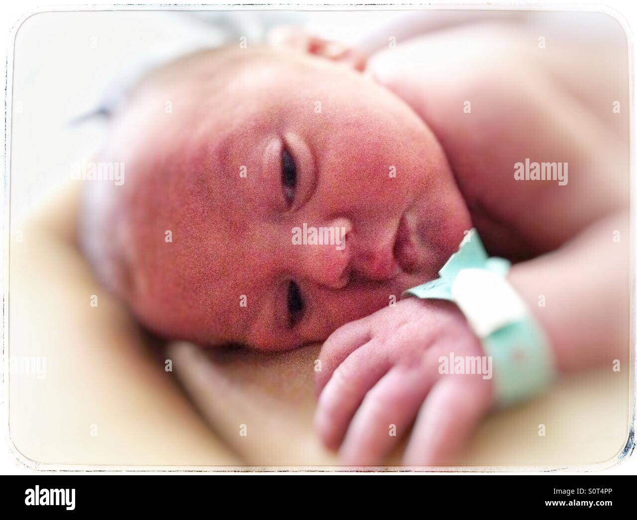 Newborn baby portrait, awakening from sleep on his mother's chest. Stock Photo