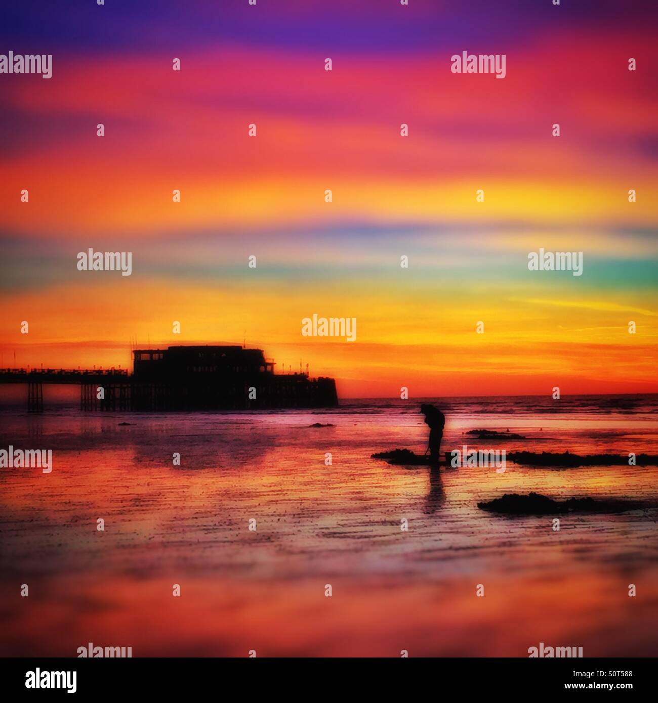 Digging for bait during a colourful sunrise - Smartphone Captured Stock Image