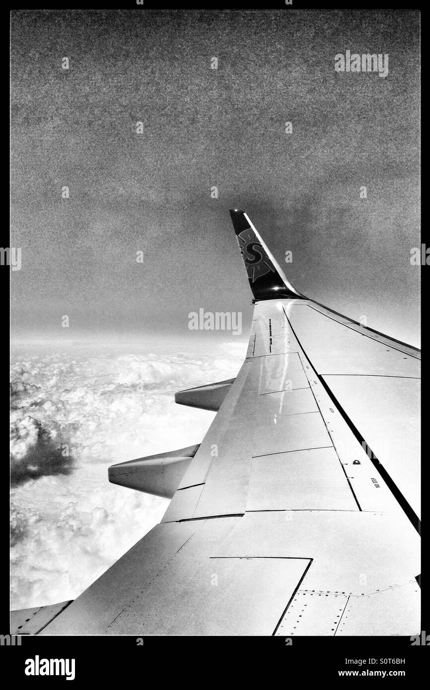 Sun country airliner wing in black and white with logo Stock Photo