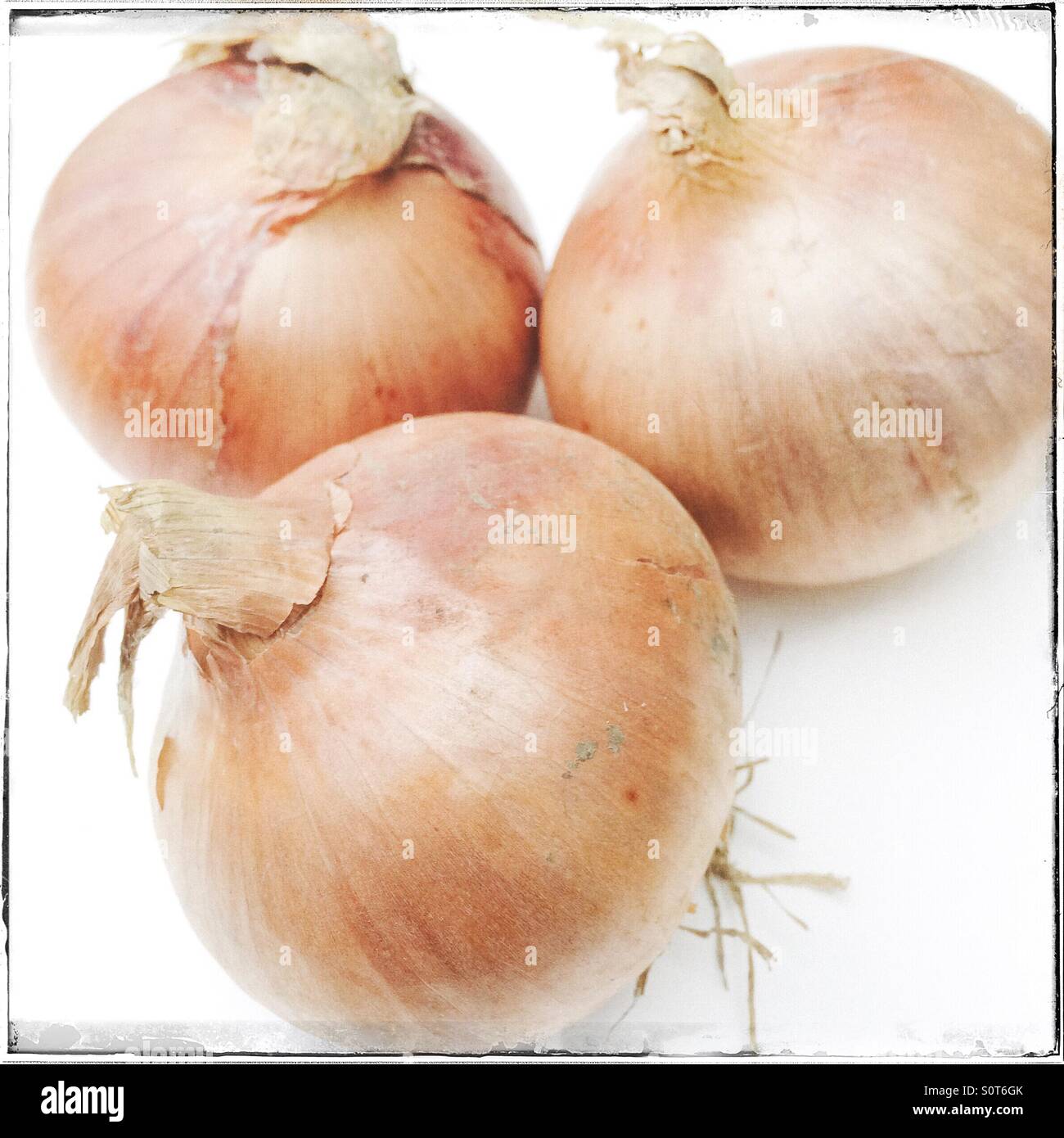 Onions Stock Photo