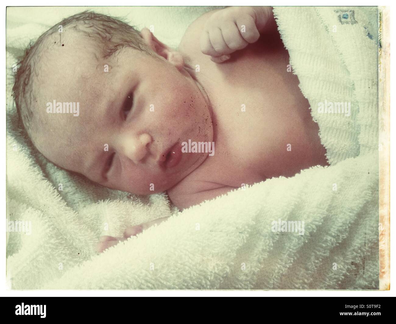 Portrait of newborn baby girl, waking up from one of her first sleeps. Stock Photo