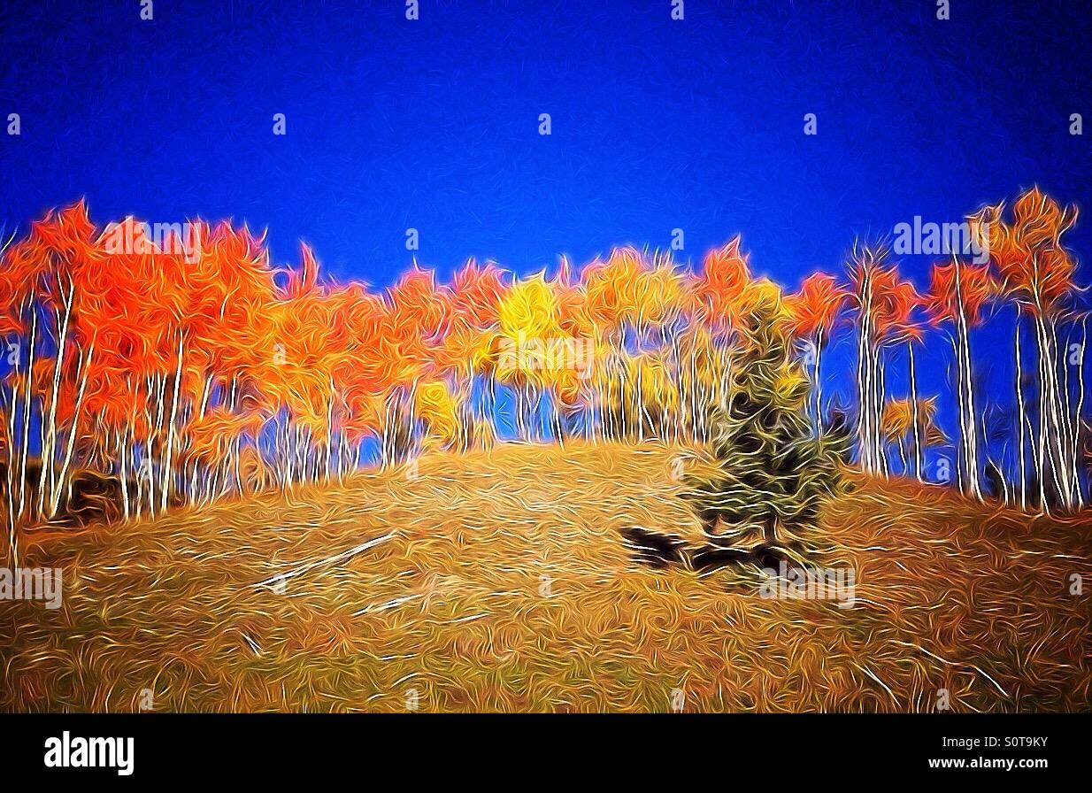 Fiery autumnal trees (with filter effect), in the Alberta foothills, Canada. - Smartphone Captured Stock Image