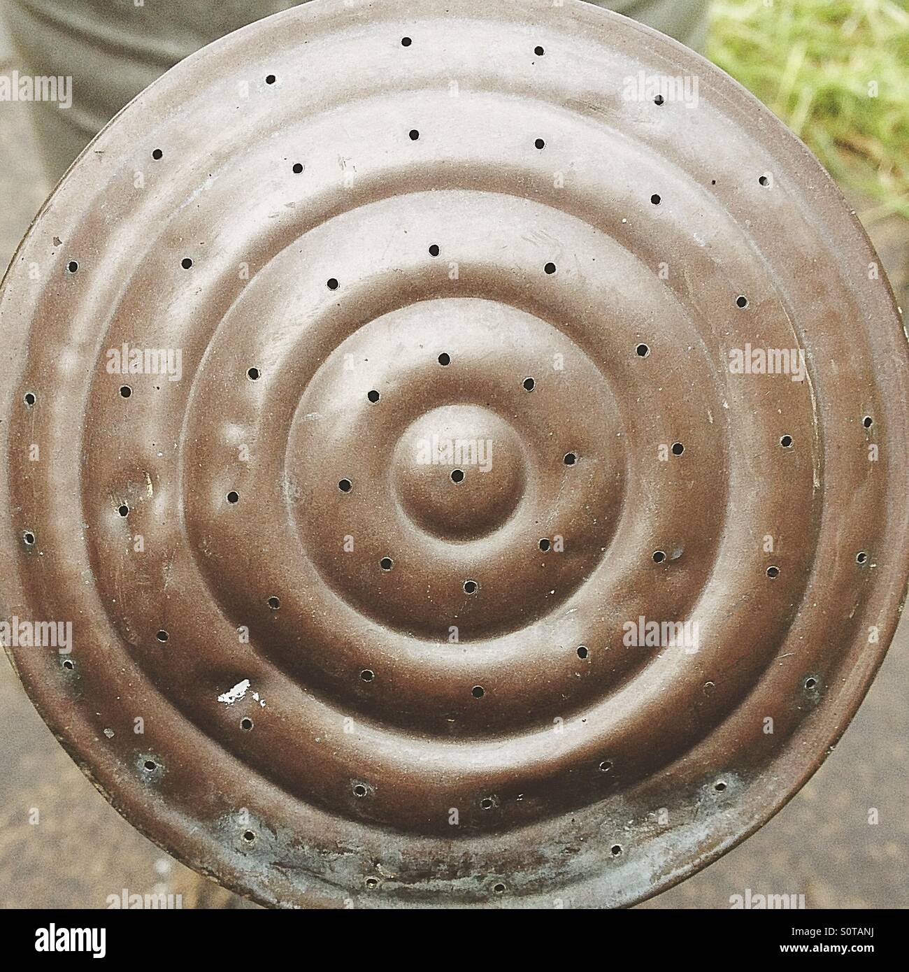 Vintage Rose - Smartphone Captured Stock Image