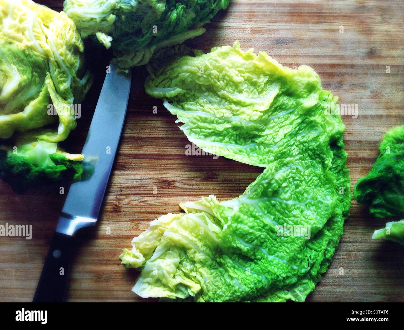 Blanched and cleaned savoy cabbage leafs and a knife on a wooden cutting board - Smartphone Captured Stock Image
