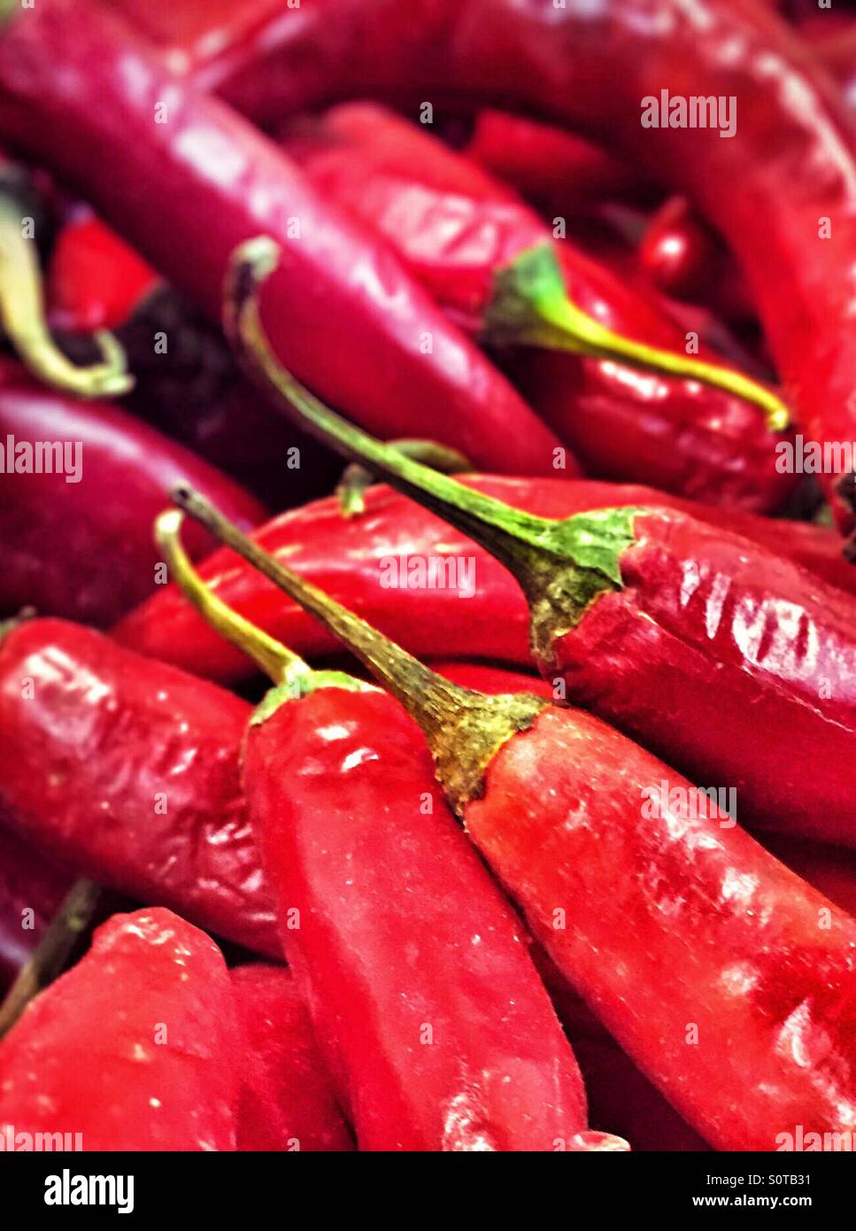 Chilies displayed at a groceries shops Stock Photo