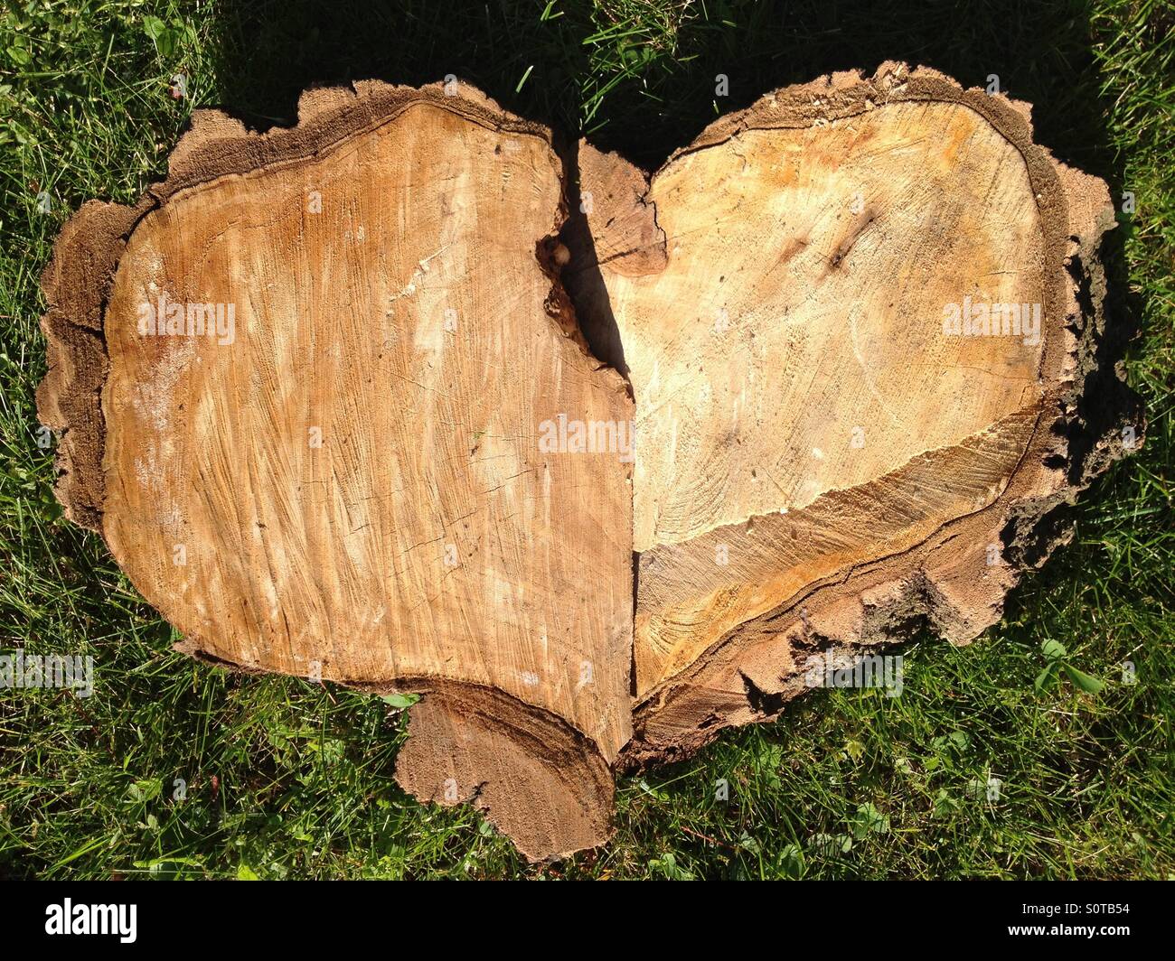 Love Nature close up Stock Photo