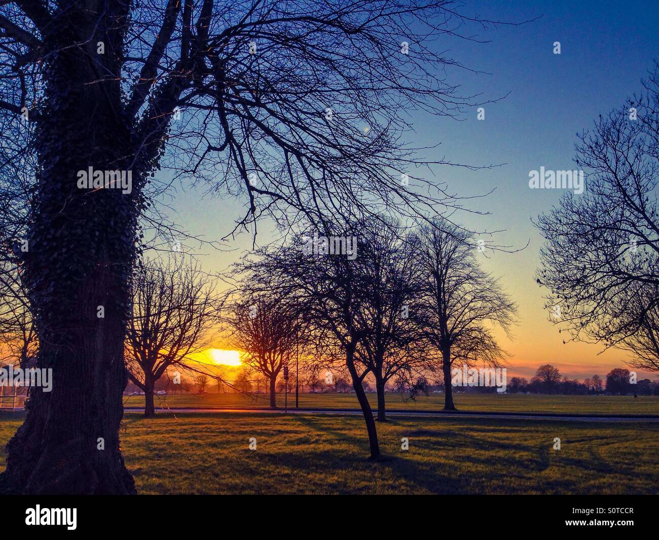 Sun setting over the Bristol Downs - Smartphone Captured Stock Image