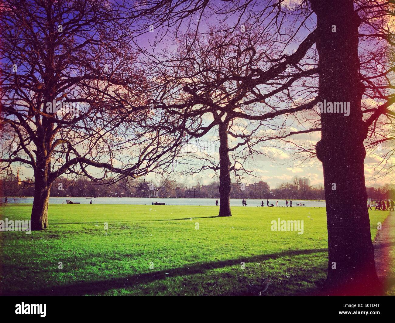Winter afternoon in Hyde Park, London - Smartphone Captured Stock Image