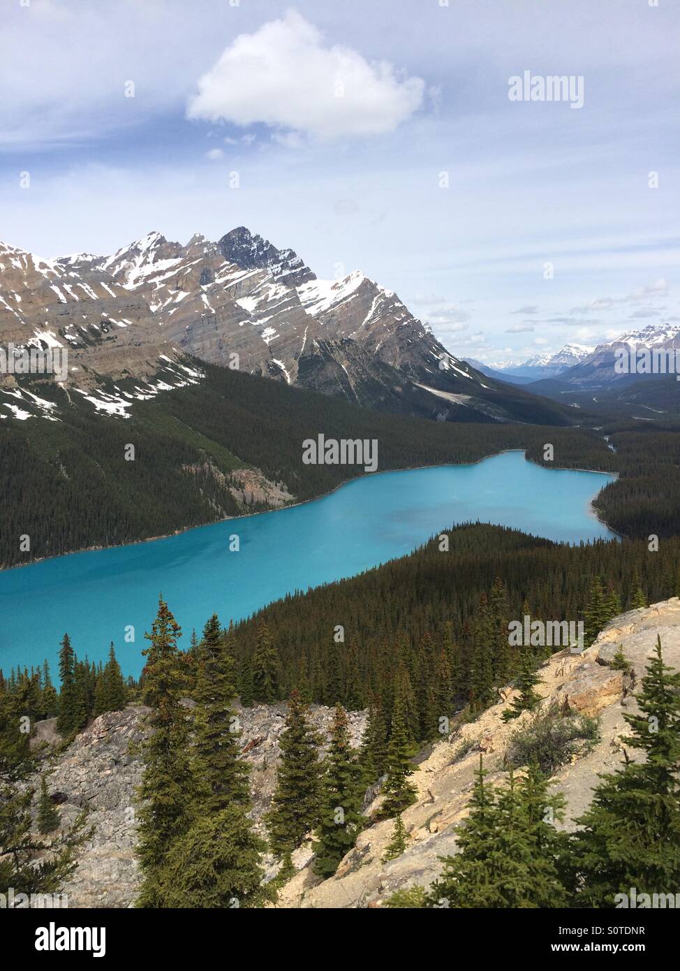 Mid summer in Banff national park. Peyto lake,Alberta, Canada Stock ...