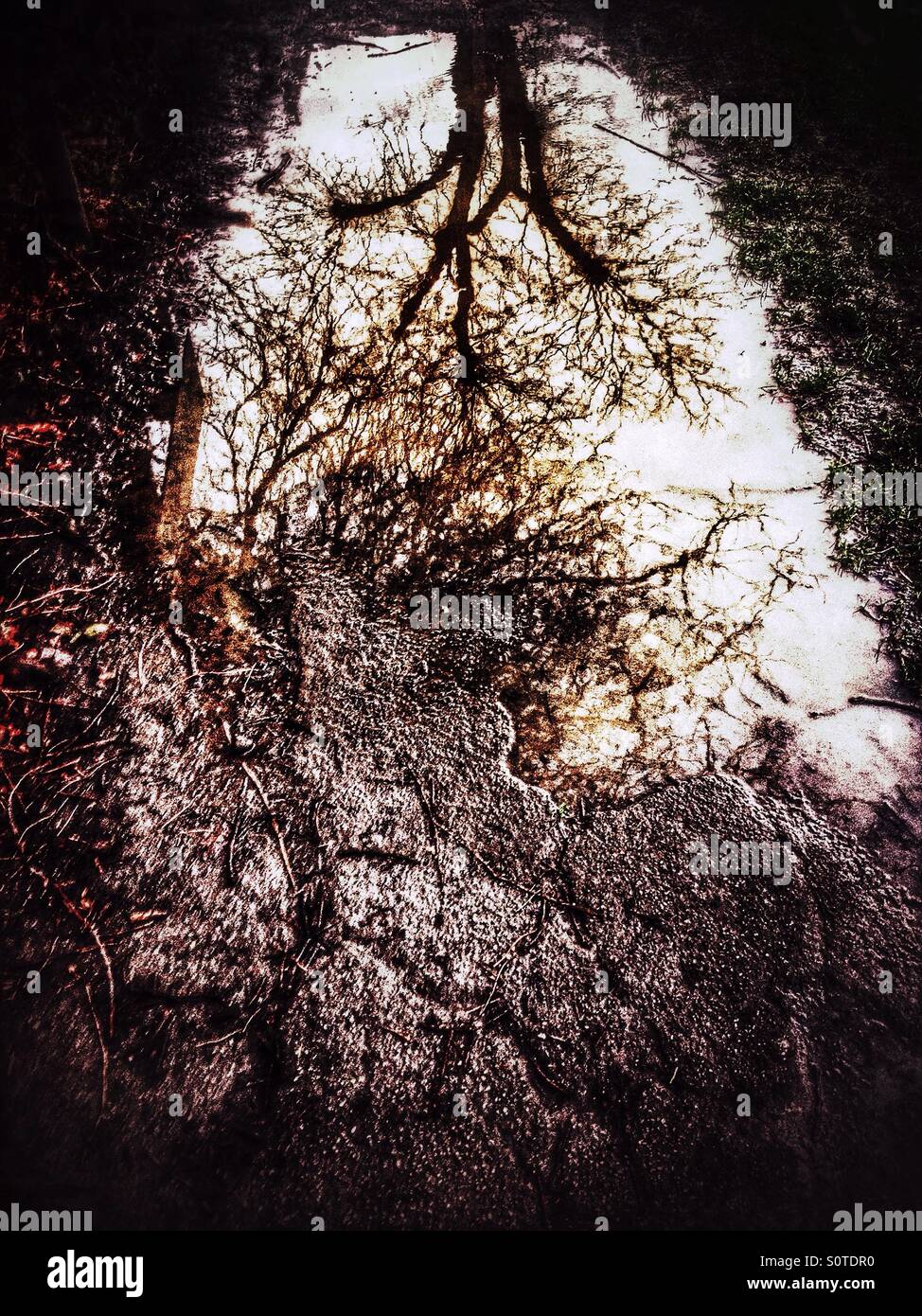 Puddle reflection on path hi-res stock photography and images - Alamy