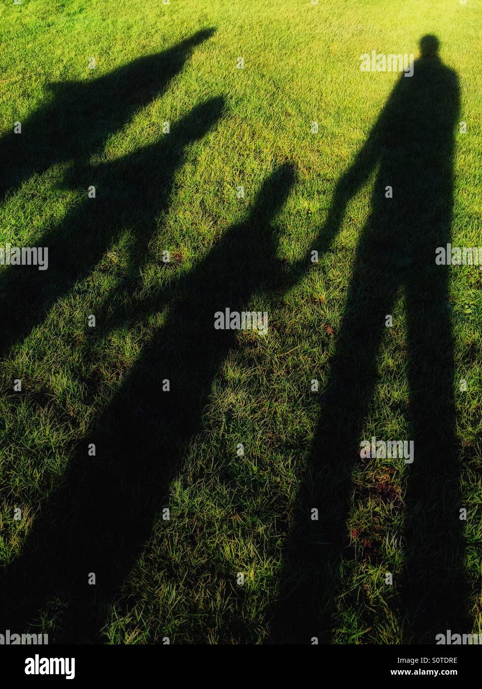 The Shadows of a Happy Family with hands joined whilst out on a winter walk in a field of green grass. Photo Credit - © COLIN HOSKINS. - Smartphone Captured Stock Image